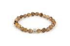Landscape Jasper· Hold Light · Repair